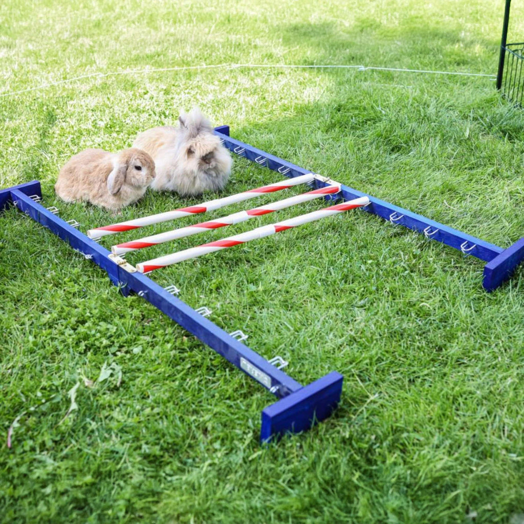 Kerbl Coniglio Hurdle Agility 2