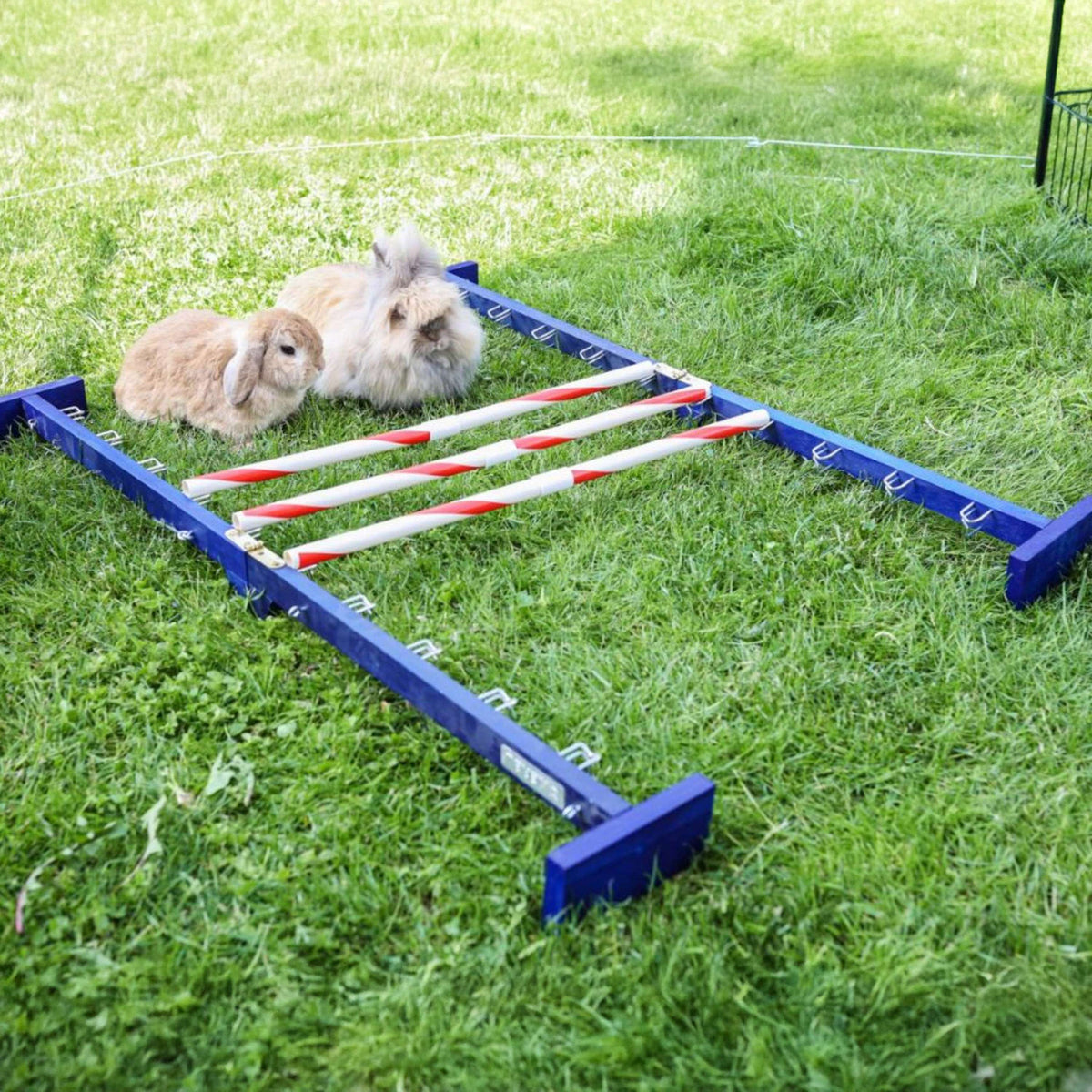 Kerbl Coniglio Hurdle Agility 2