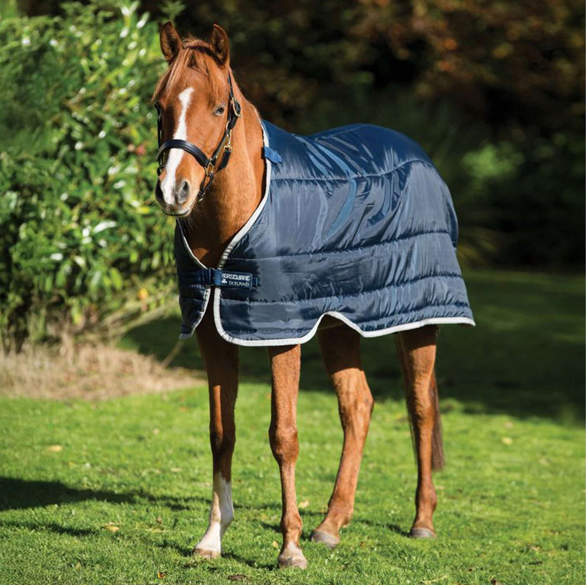 Horseware Liner Pony 300g Blu marino/Argento