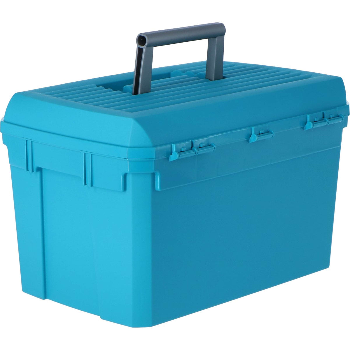 Kerbl Scatola per la Pulizia Blu