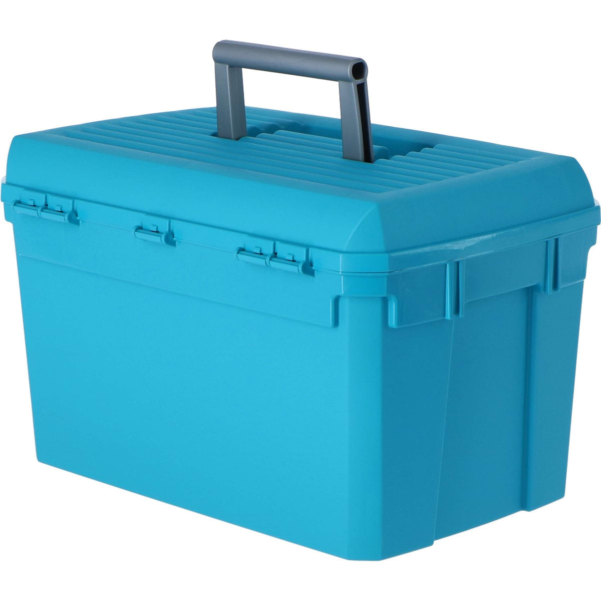 Kerbl Scatola per la Pulizia Blu