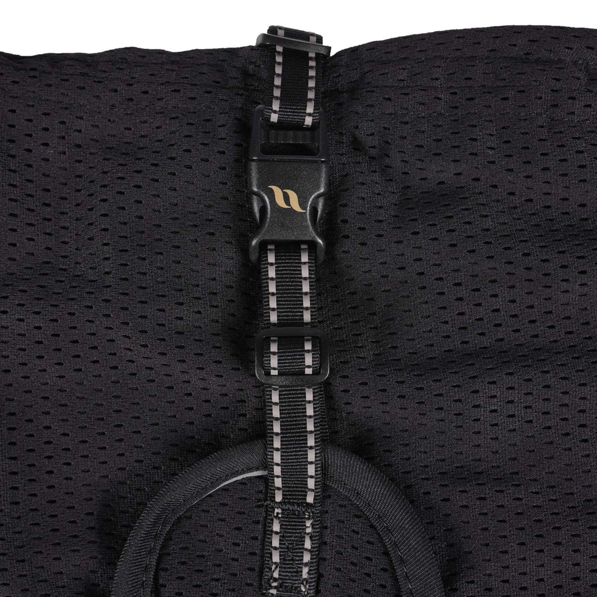 Back on Track Coperta per Cani Nero