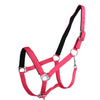 HKM Cavezza Stars Softice Rosa neon