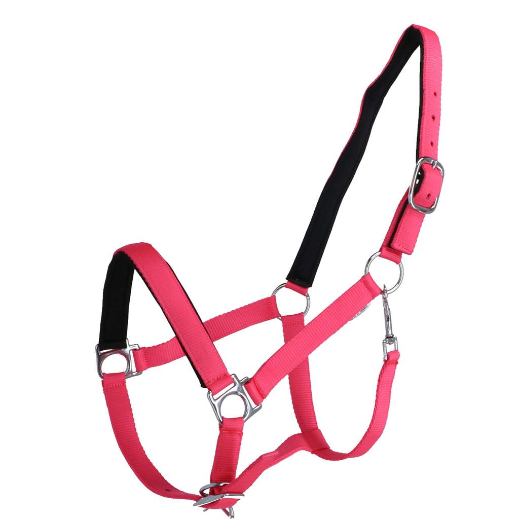 HKM Cavezza Stars Softice Rosa neon