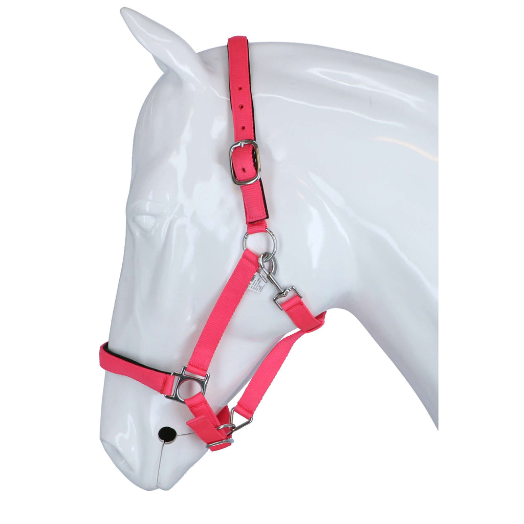 HKM Cavezza Stars Softice Rosa neon