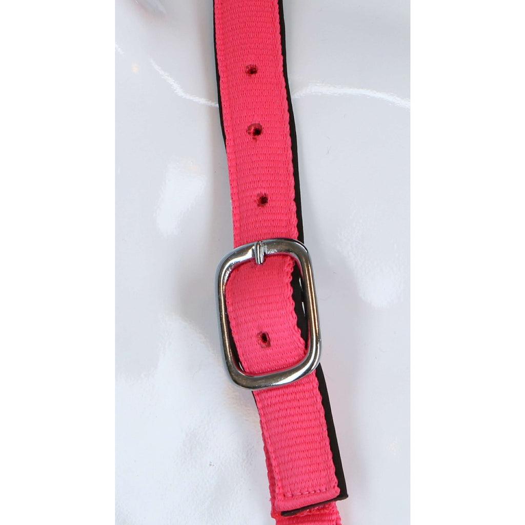HKM Cavezza Stars Softice Rosa neon