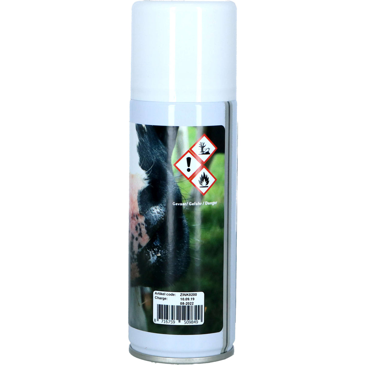 Excellent Spray di Zinco