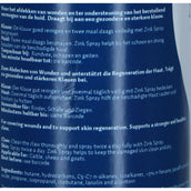 Excellent Spray di Zinco