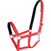 Harry's Horse Capezzina Padded Rosso
