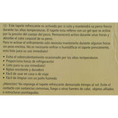Beeztees Tappetino Rinfrescante Quick Cooler Izi Blu