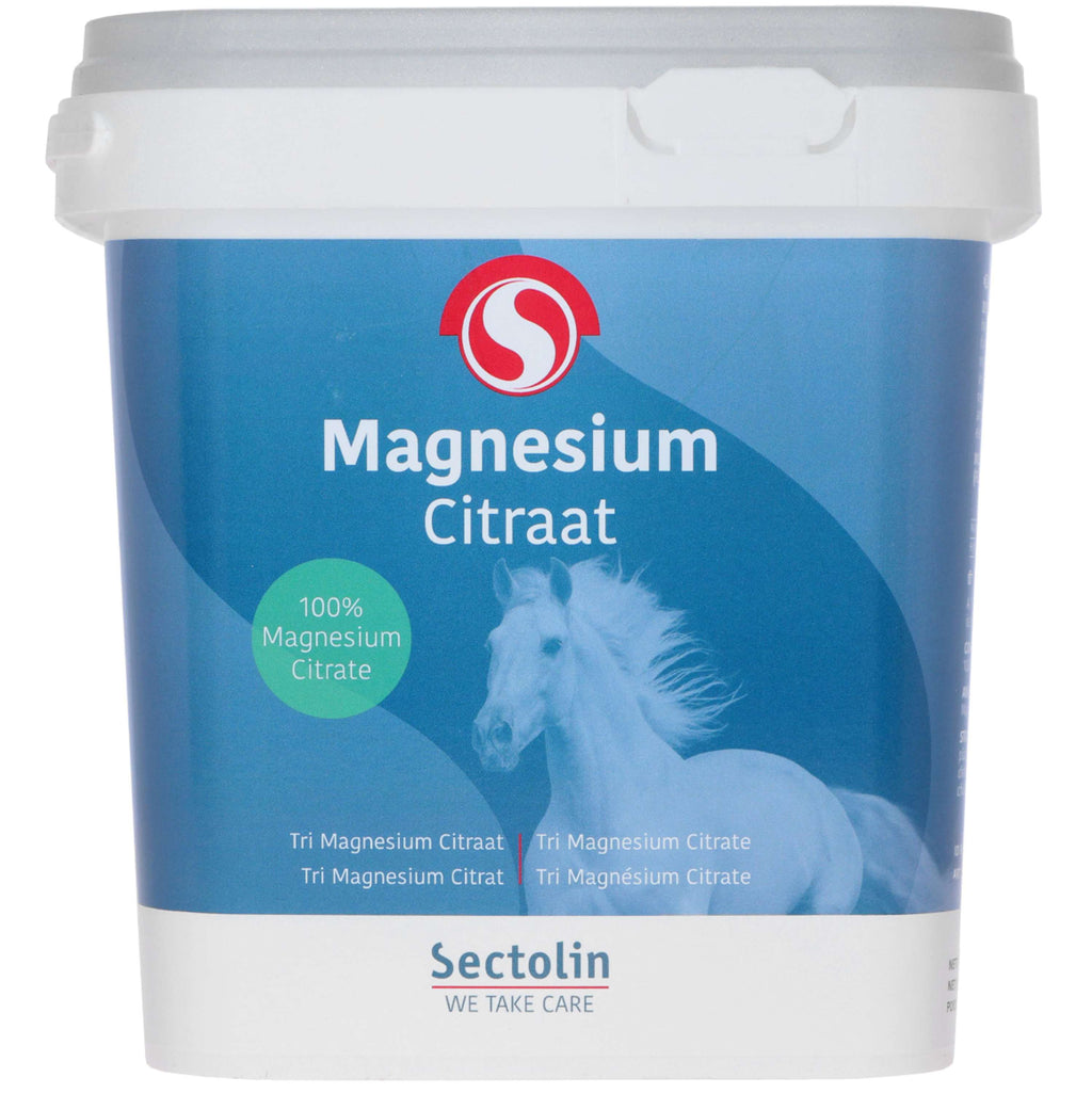 Sectolin Magnesio Equivital