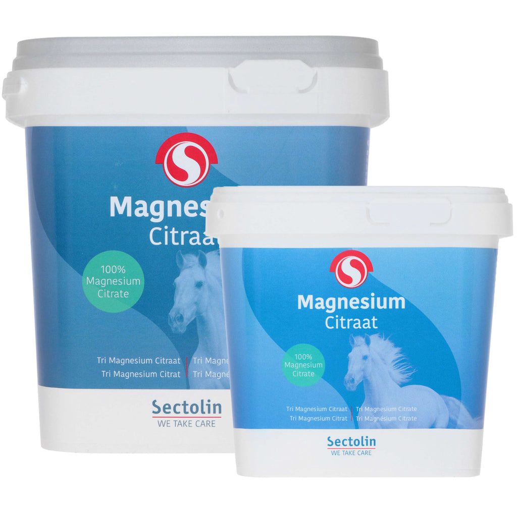 Sectolin Magnesio Equivital