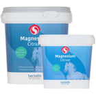 Sectolin Magnesio Equivital