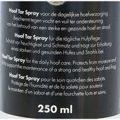 Eccellente spray per il cuoio dello zoccolo (Stockholmer)