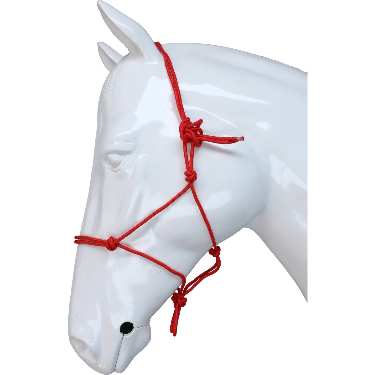 Riding World Capezzina Fine Ethologisch Rosso