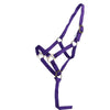 Norton Cavezza per Puledro con Linea Viola
