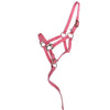 Norton Cavezza per Puledro con Linea Rosa