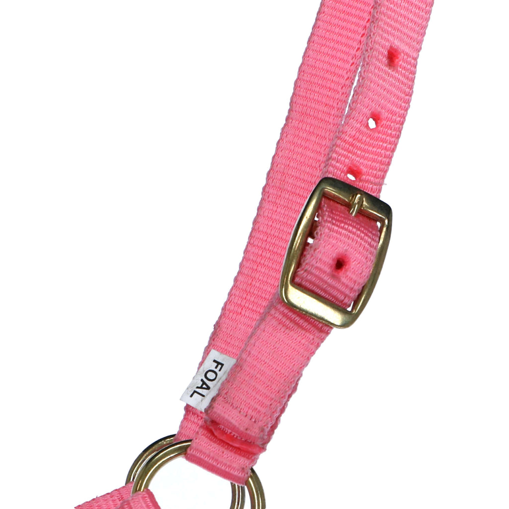 Norton Cavezza per Puledro con Linea Rosa