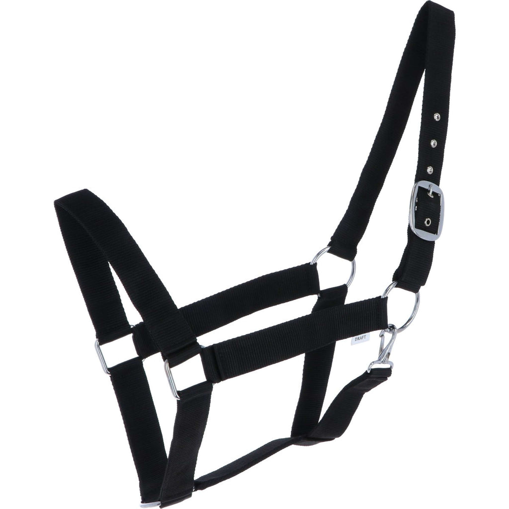 Norton Capezza per Cavallo da Tiro Nero