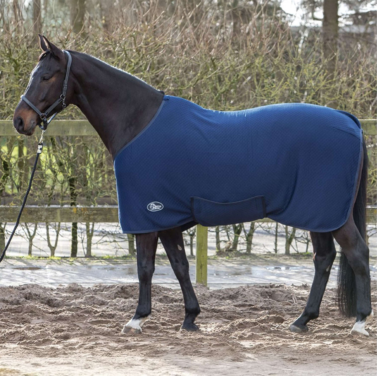 Harry's Horse Sottocoperta Thermoliner Navy