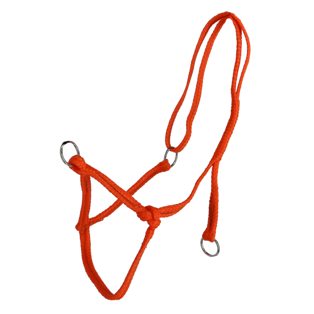 Agradi Capezzina Arancia