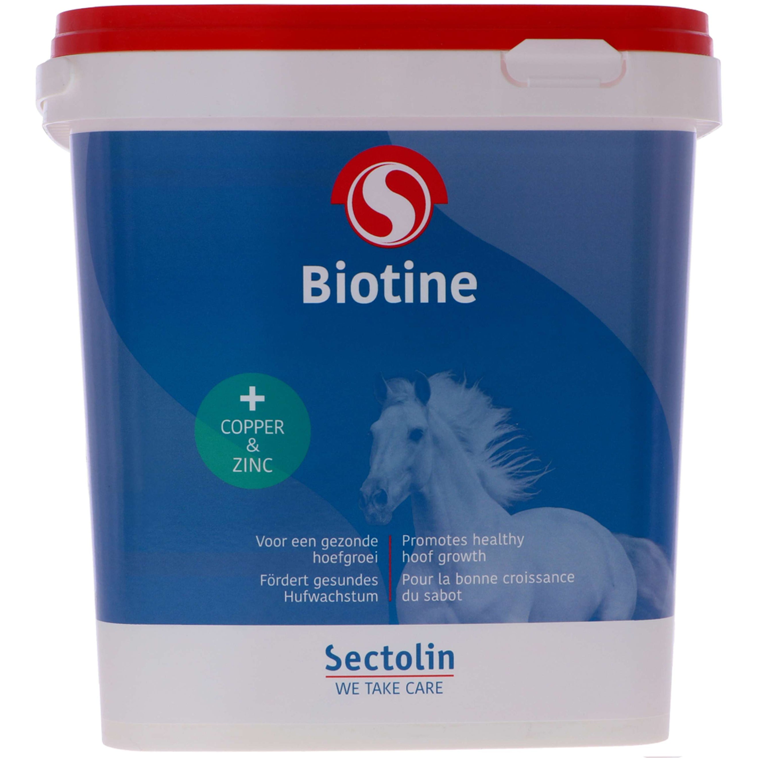 Sectolin Biotina Equivital Sectolin Biotina Equivital