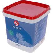 Sectolin Biotina Equivital
