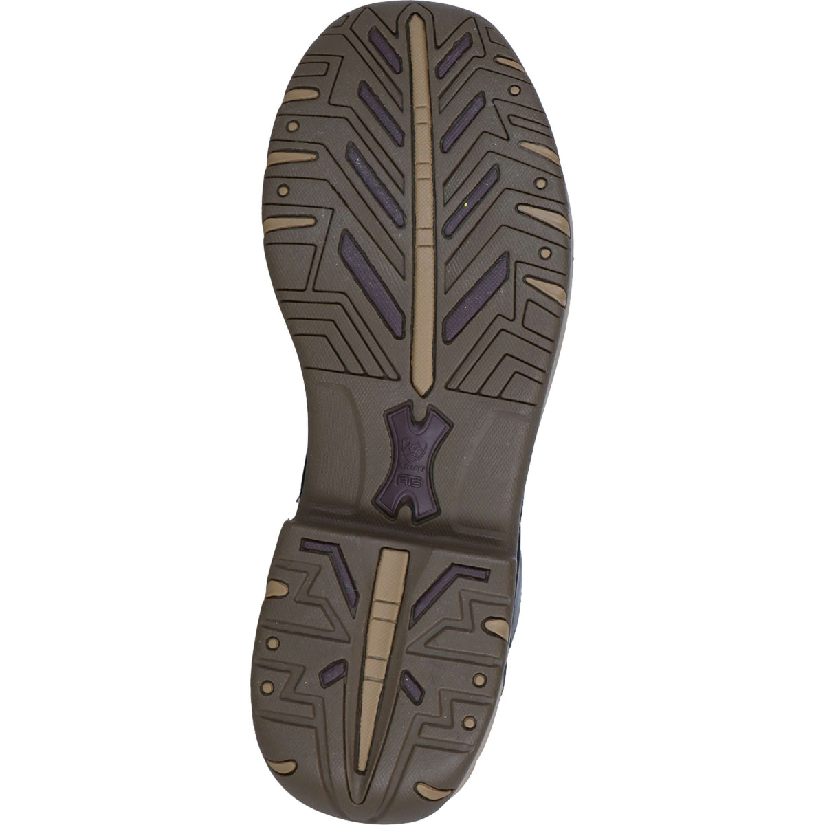 Ariat Stivali da Scuderia Telluride Zip H2O Woman's Marrone scuro