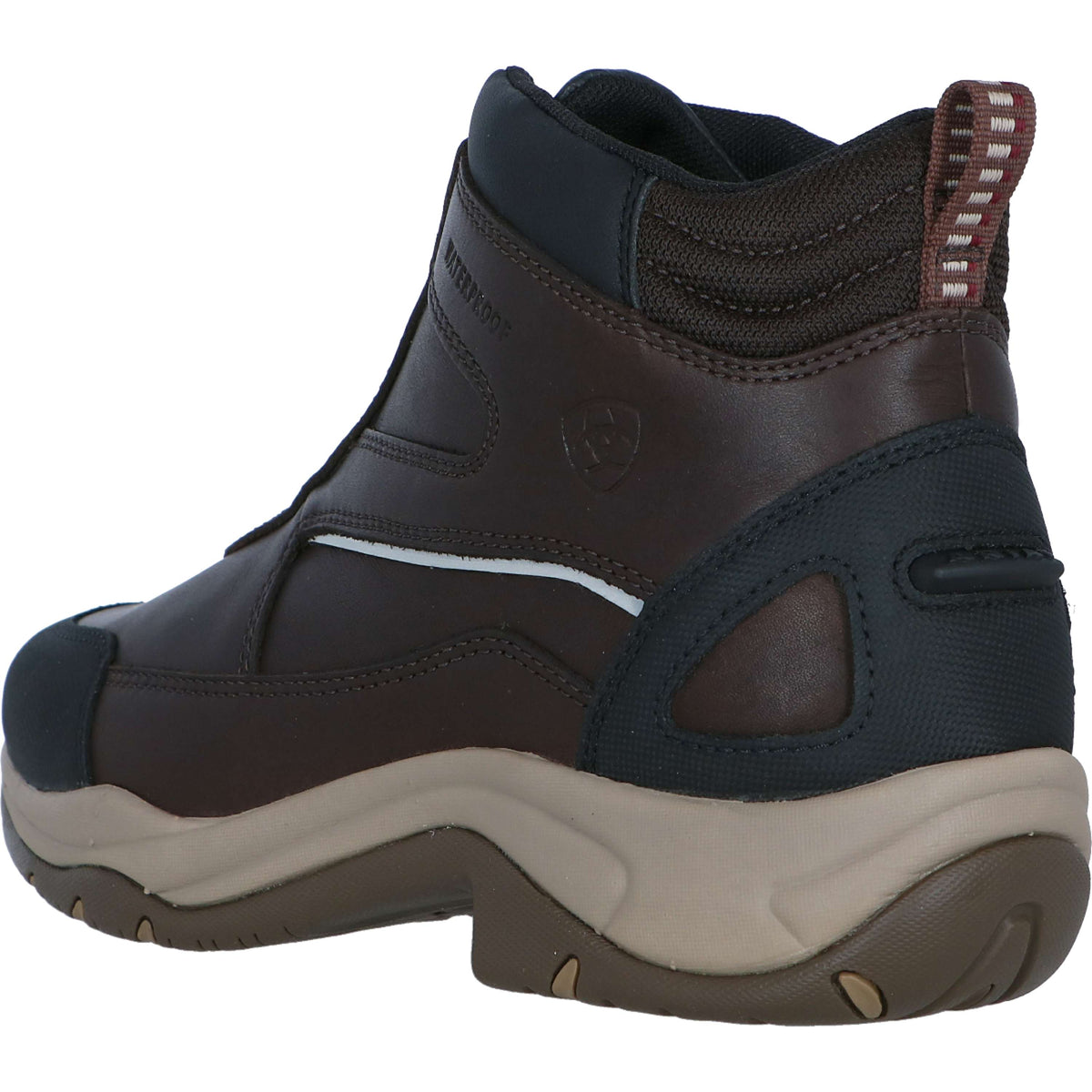 Ariat Stivali da Scuderia Telluride Zip H2O Woman's Marrone scuro