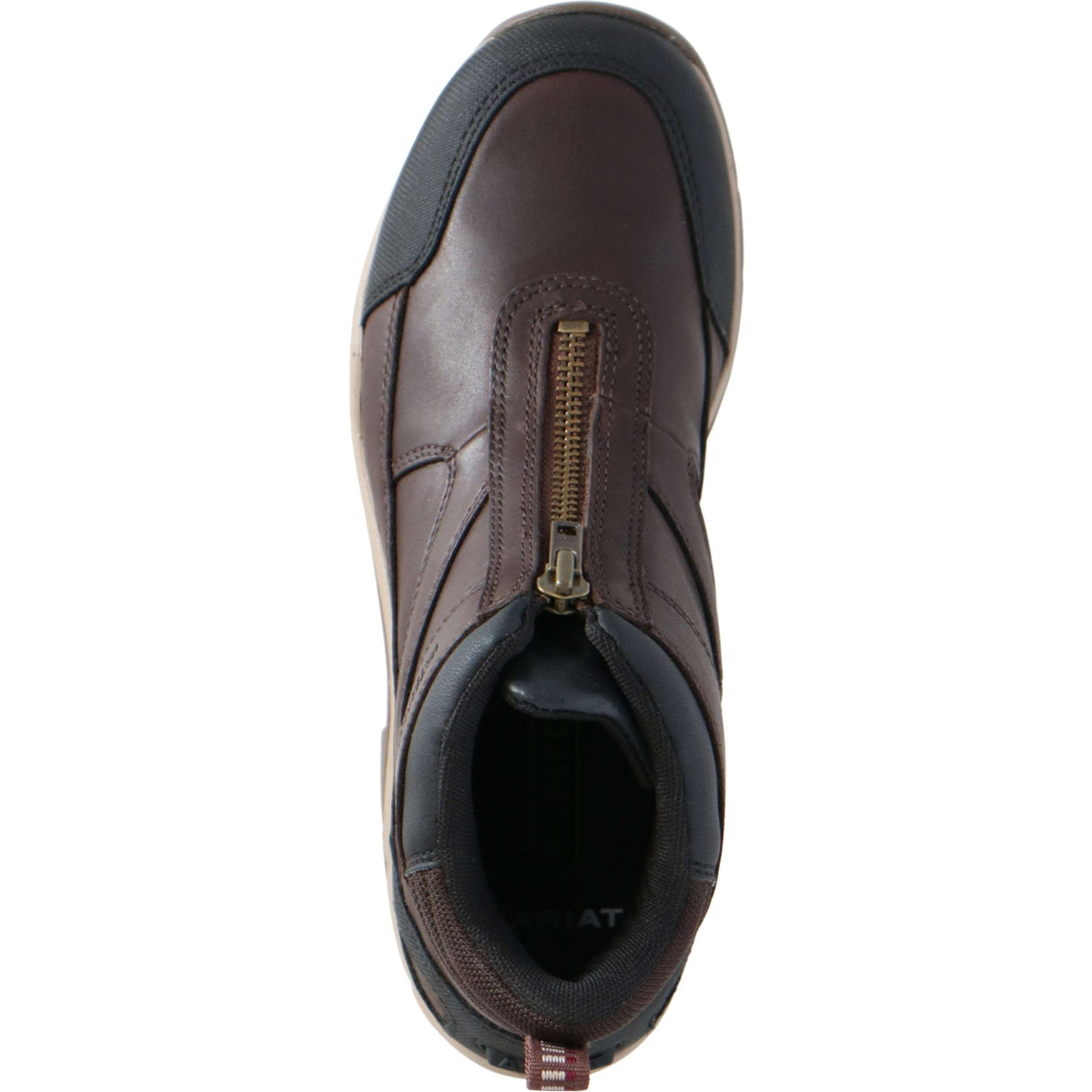 Ariat Stivali da Scuderia Telluride Zip H2O Woman's Marrone scuro