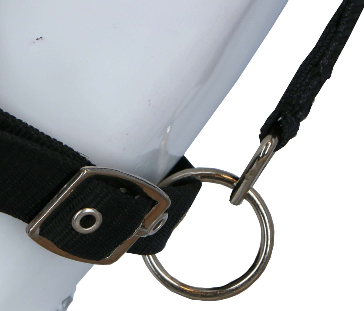 Harry's Horse Capezza con Maschera Antimosche