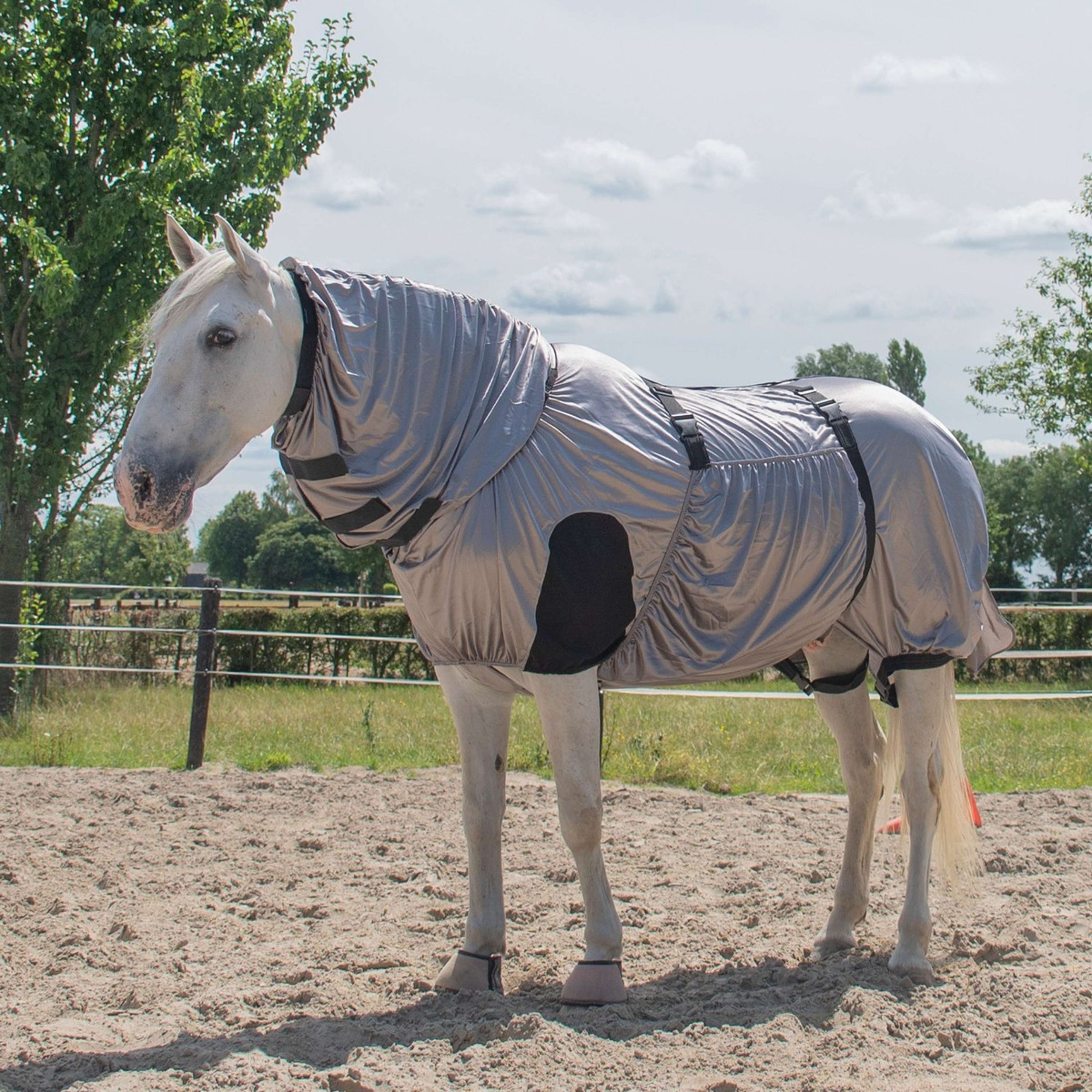Harry's Horse Coperta antimosche/eczema UV Harry's Horse Coperta antimosche/eczema UV