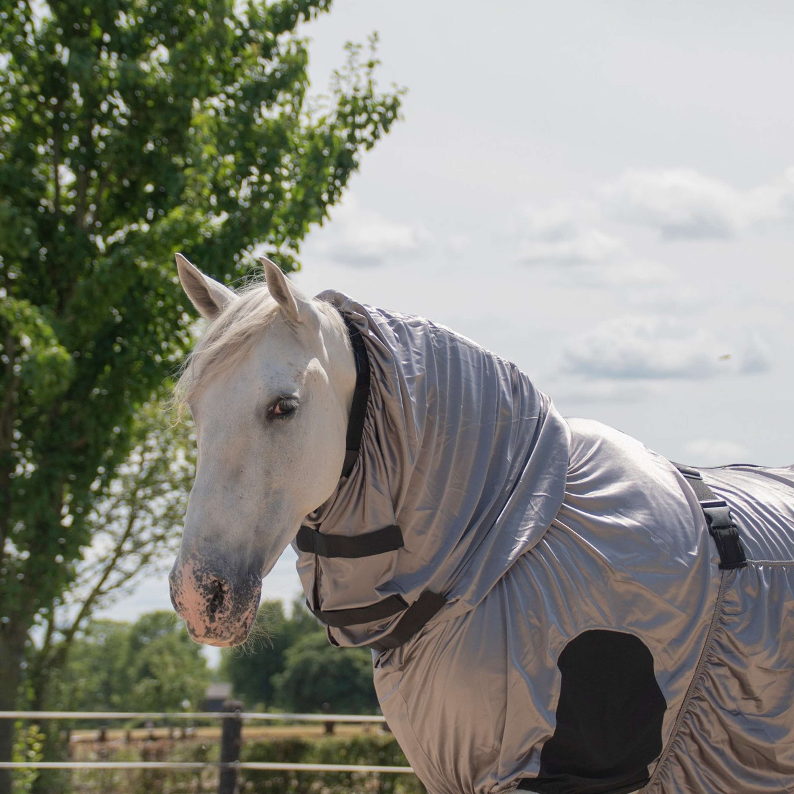 Harry's Horse Coperta antimosche/eczema UV