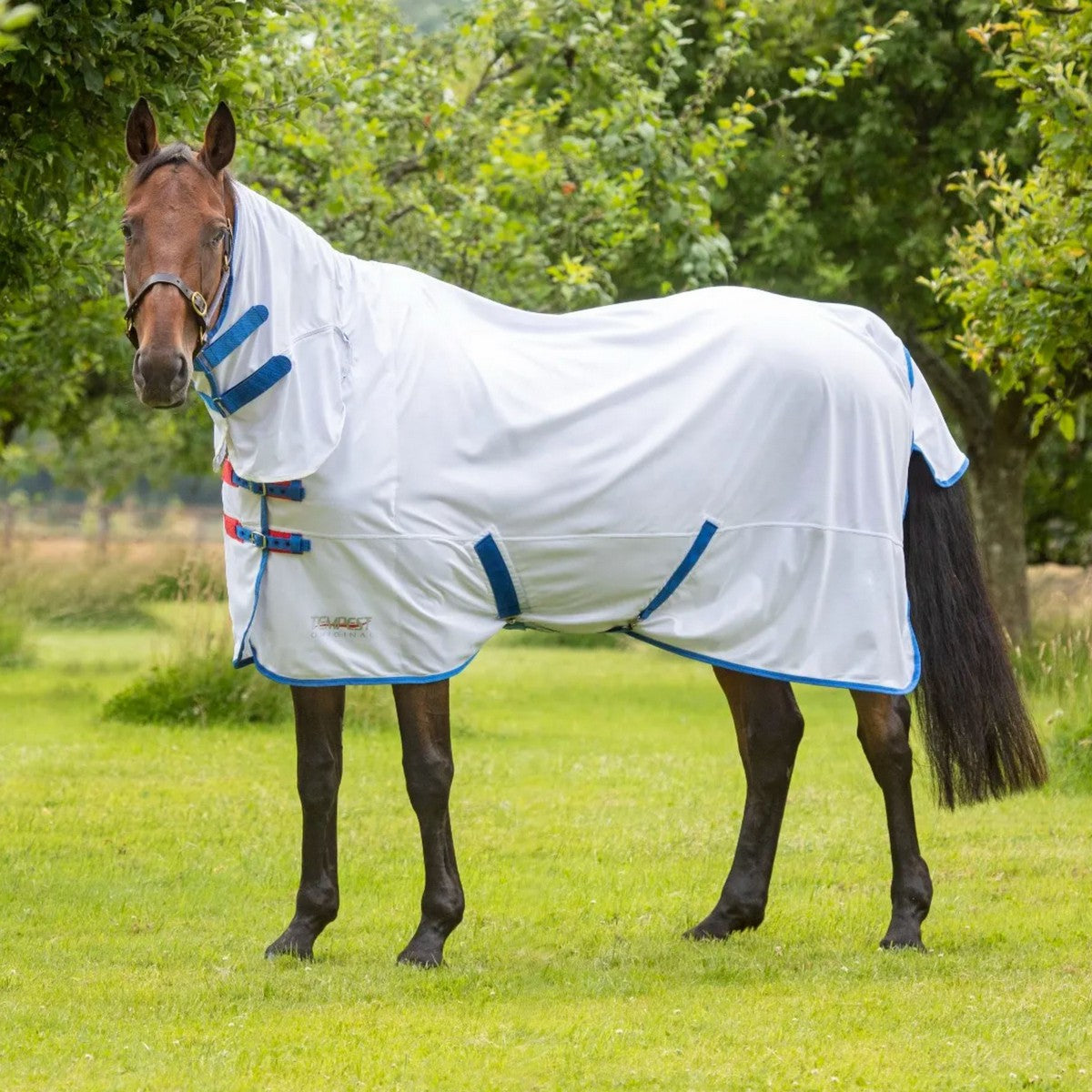 Tempest Original by Shires Coperta Antimosche Fly Combo Bianco