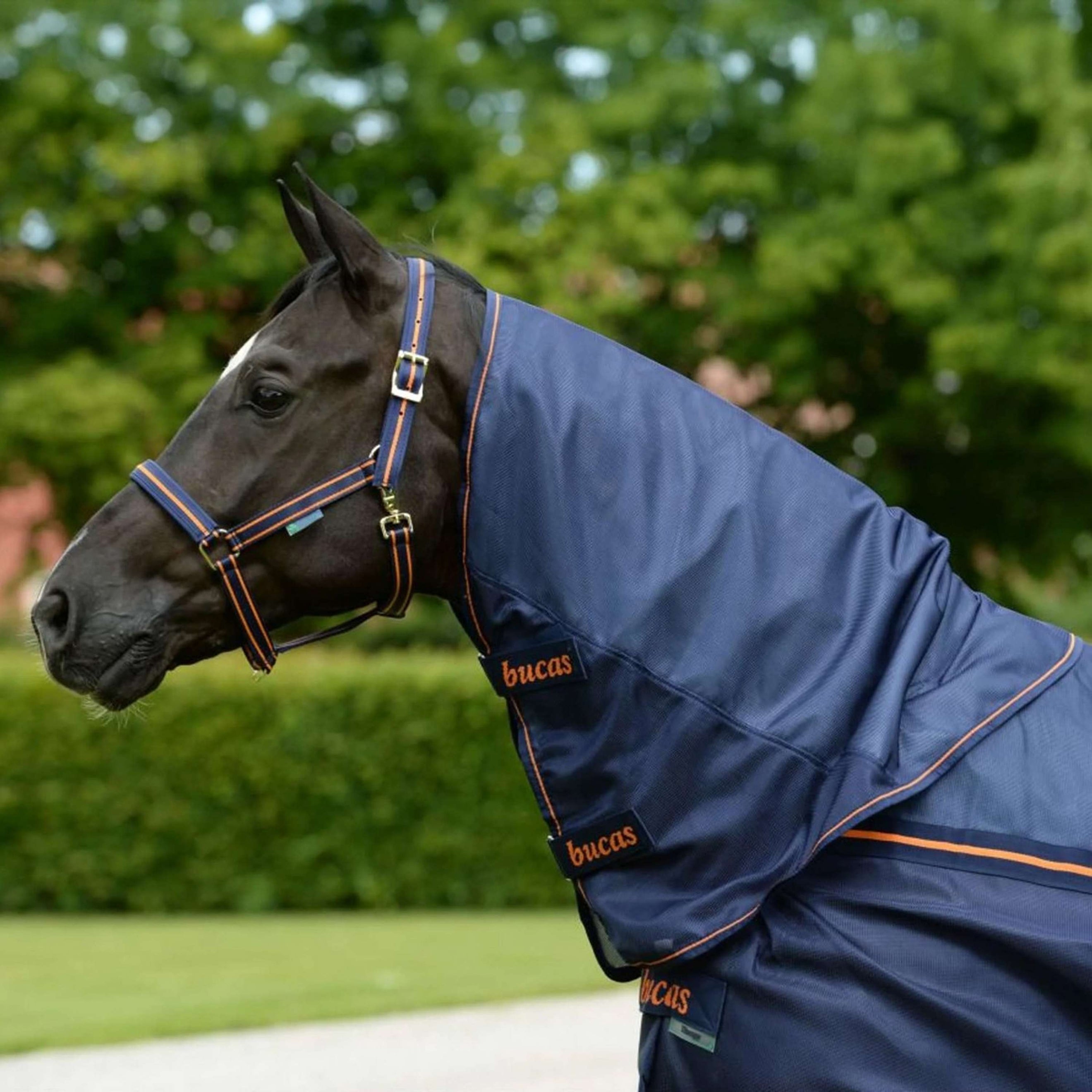 Bucas Therapy Light Neck Blu marino/arancione