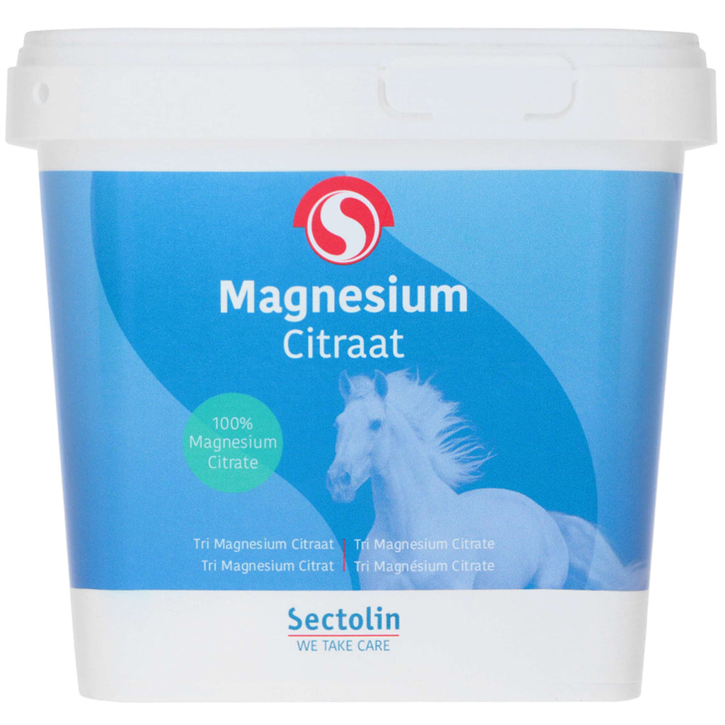 Sectolin Magnesio Equivital