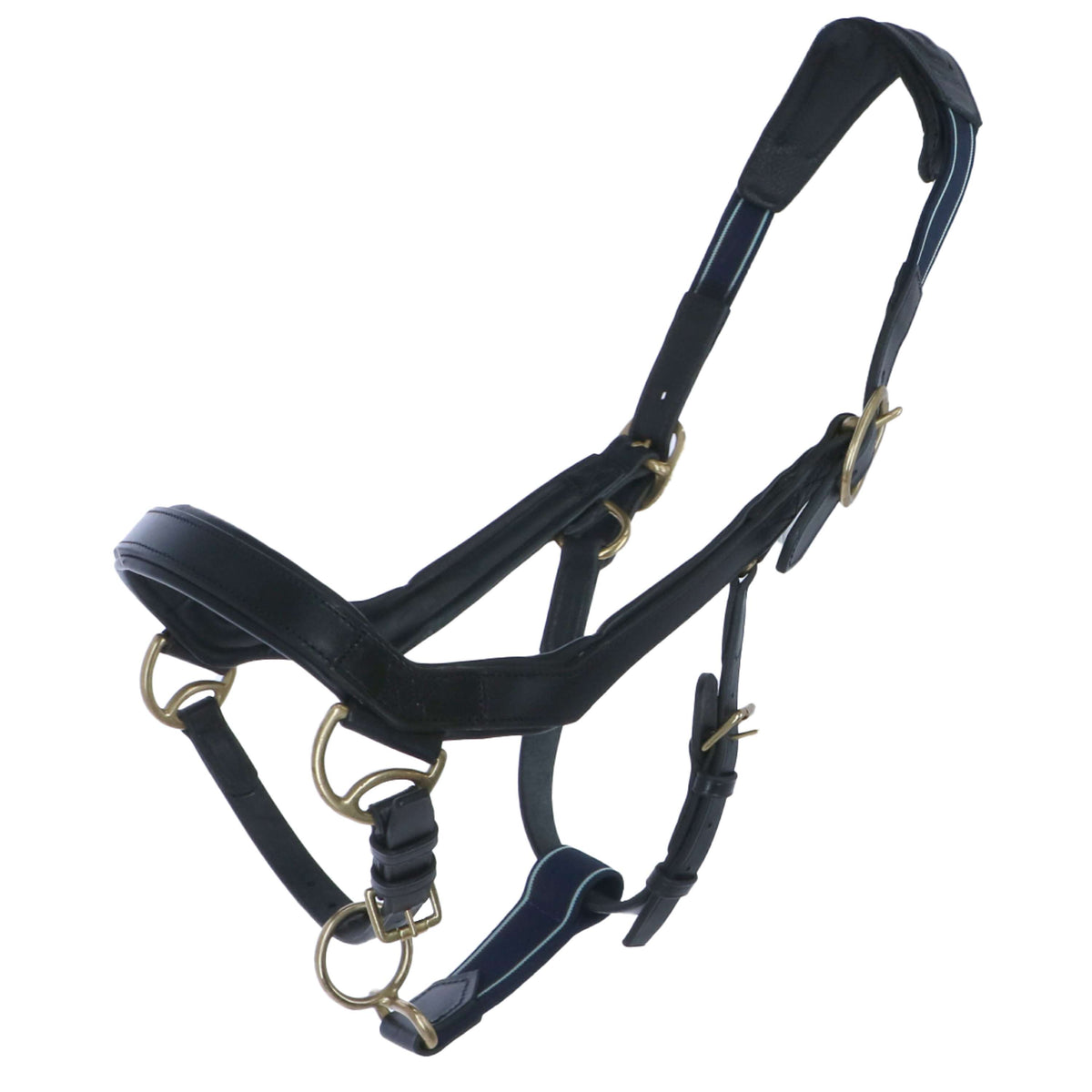 Rambo Micklem Halter Nero
