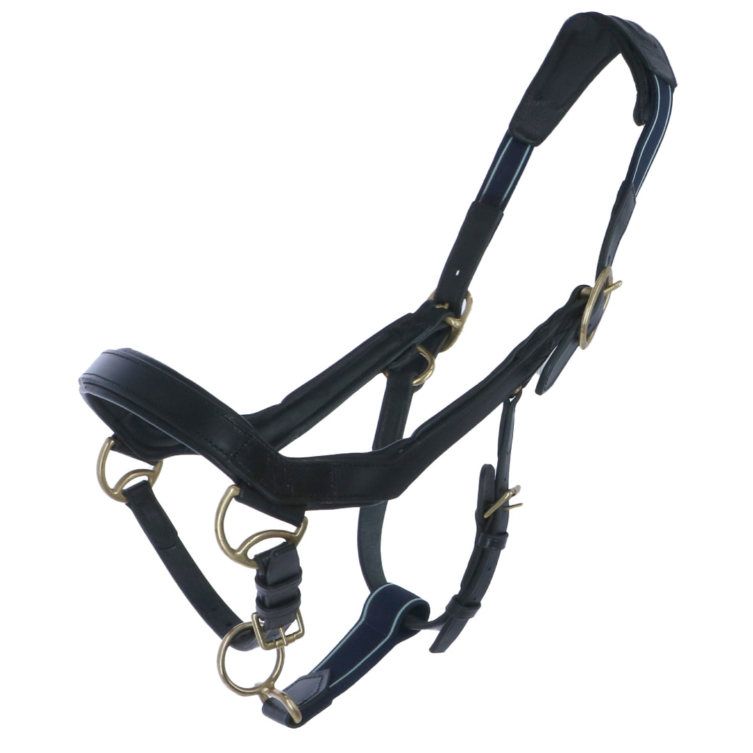 Rambo Micklem Halter Nero