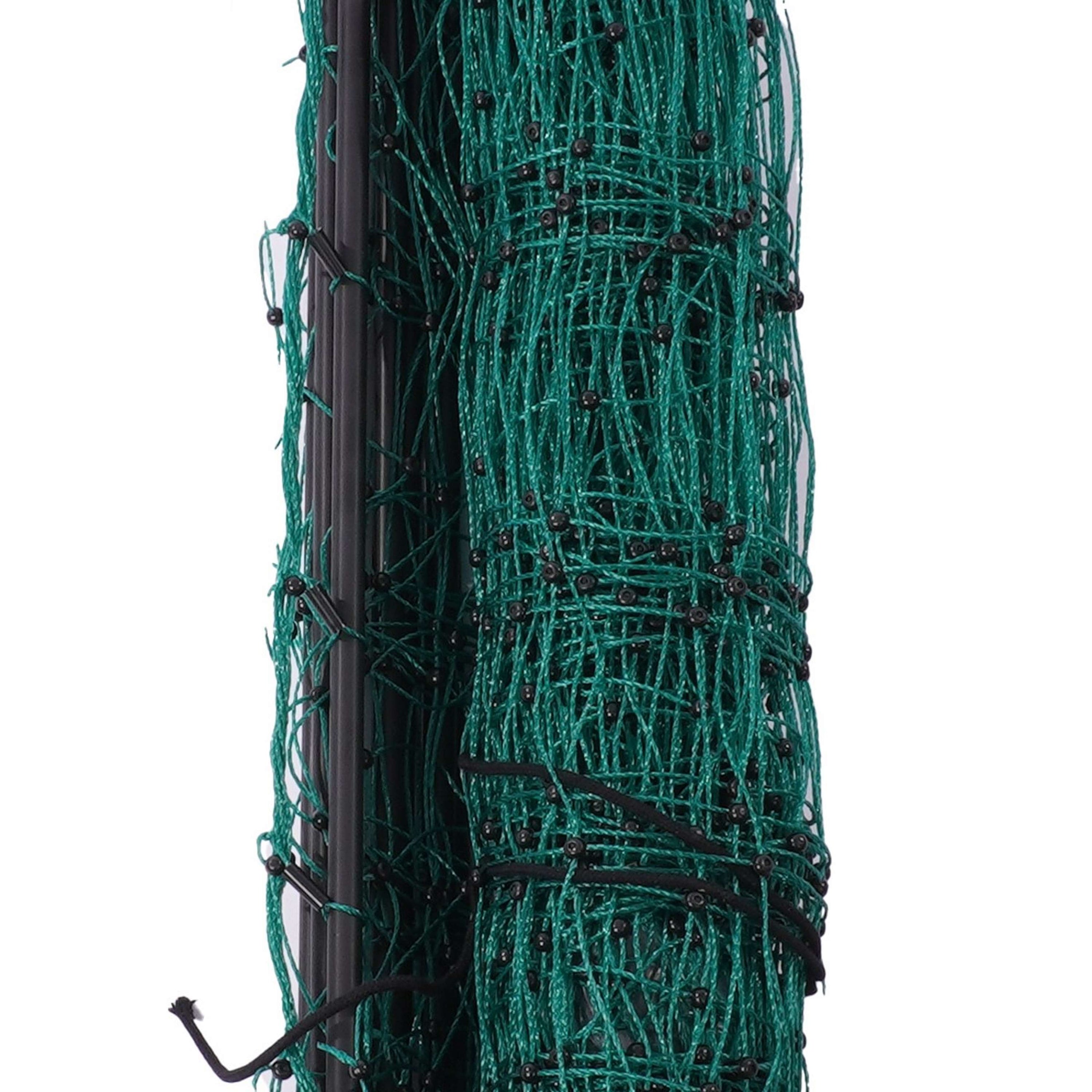 Ako Rete per pollame Punta Doppia Verde Ako Rete per pollame Punta Doppia Verde