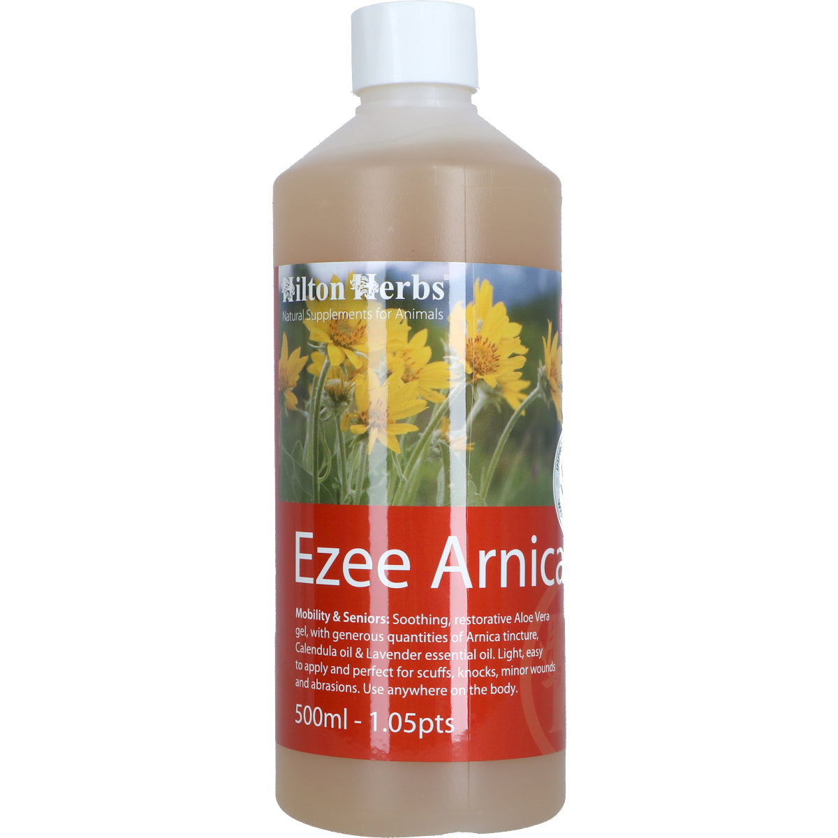 Hilton Herbs Erbe Ezee Arnica