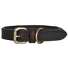 WeatherBeeta Dog Collar Pelle imbottita Marrone