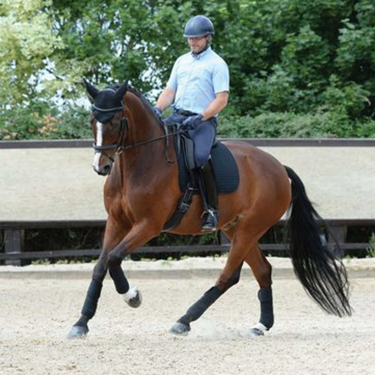 WeatherBeeta Sottosella da Dressage Prime Nero