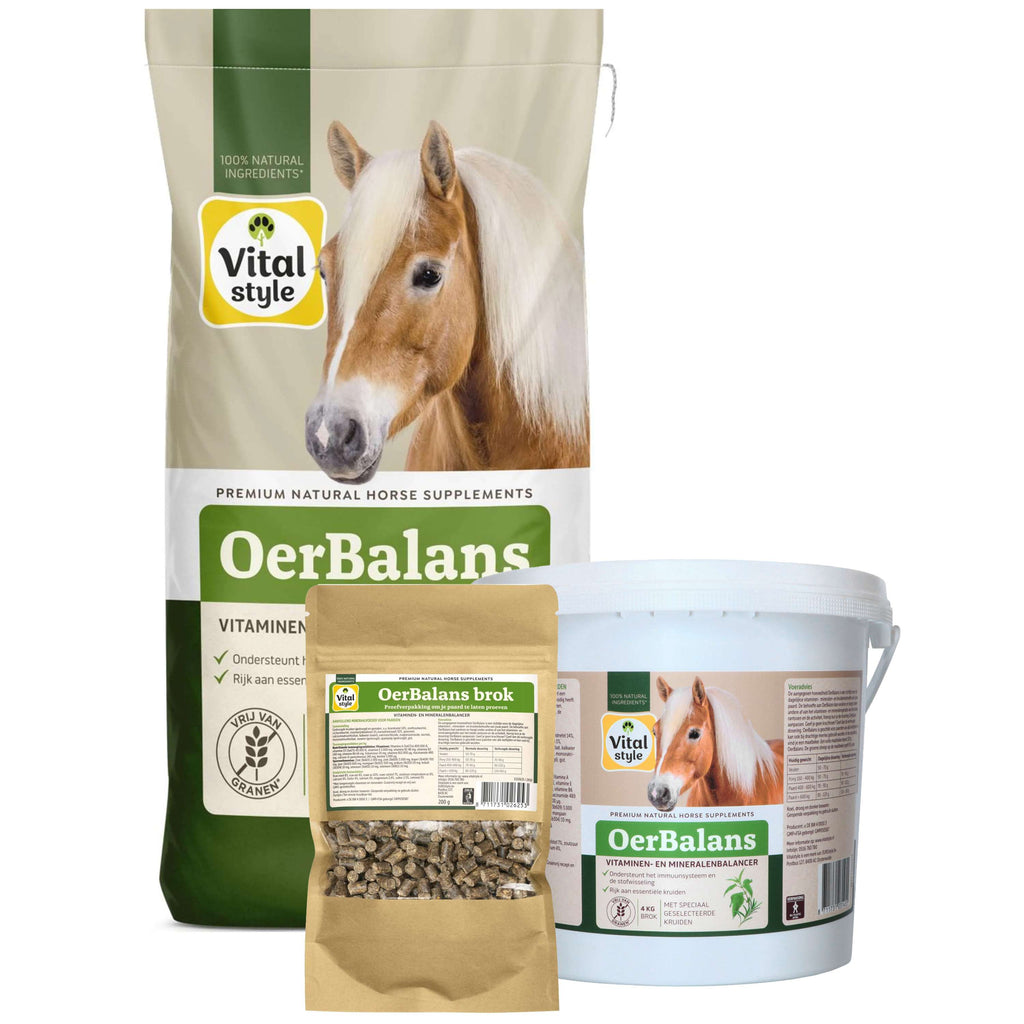 Vitalstyle Cubetti OerBalans Borsa