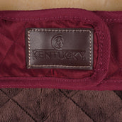 Kentucky Dogwear Dog Rug Bordeaux