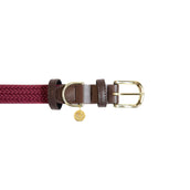 Kentucky Horsewear Halsband Nylon intrecciato per cani Bordeaux