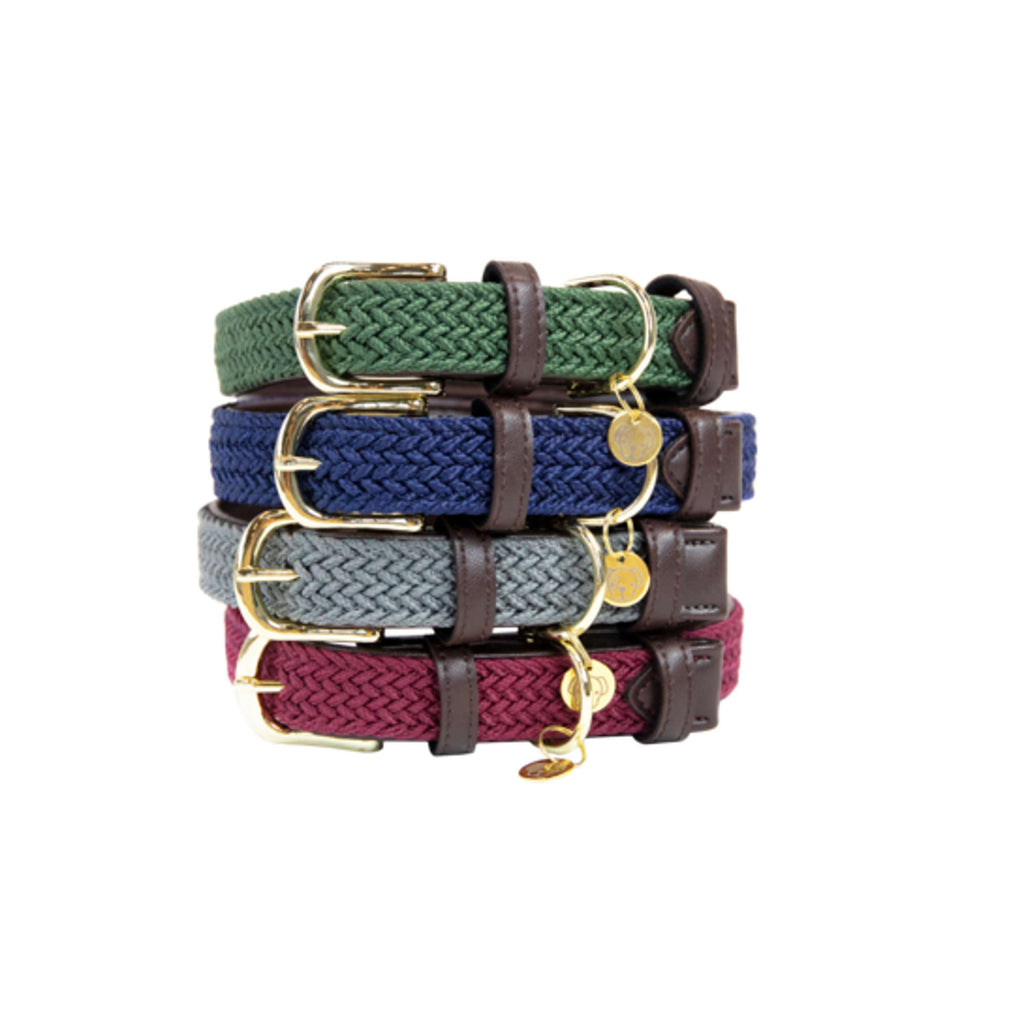 Kentucky Horsewear Halsband Nylon intrecciato per cani Bordeaux