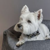 Kentucky Dogwear Collare Grigio