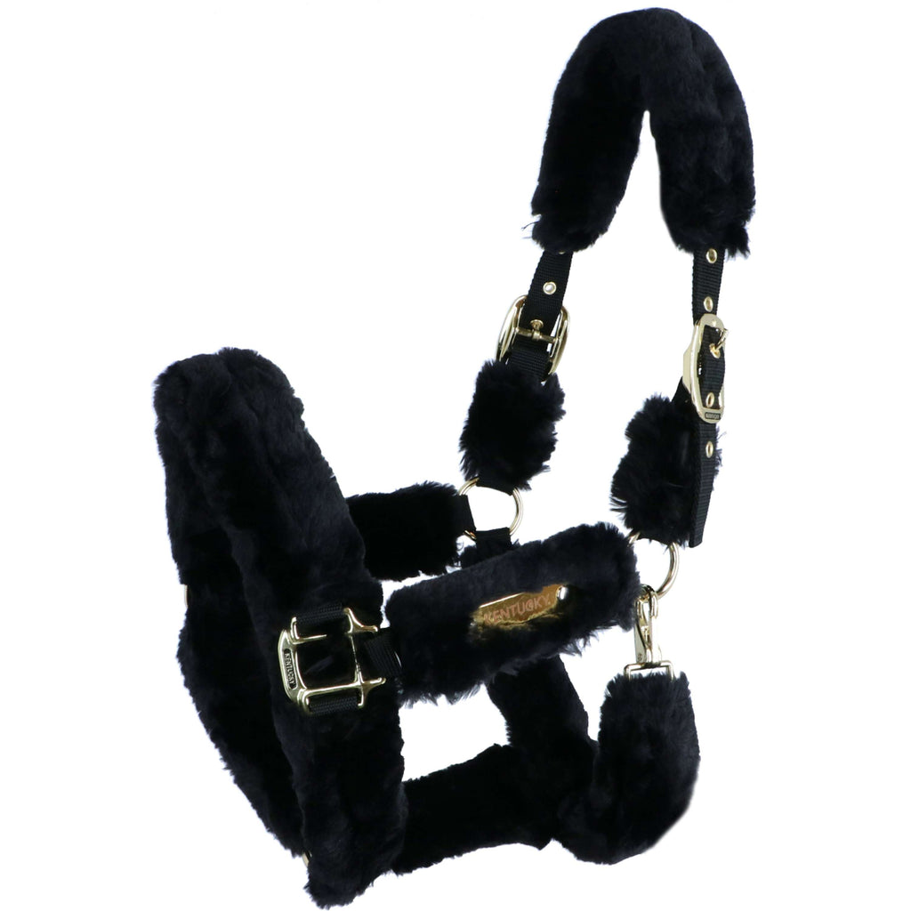 Kentucky Horsewear Cavezza Sheepskin Nero