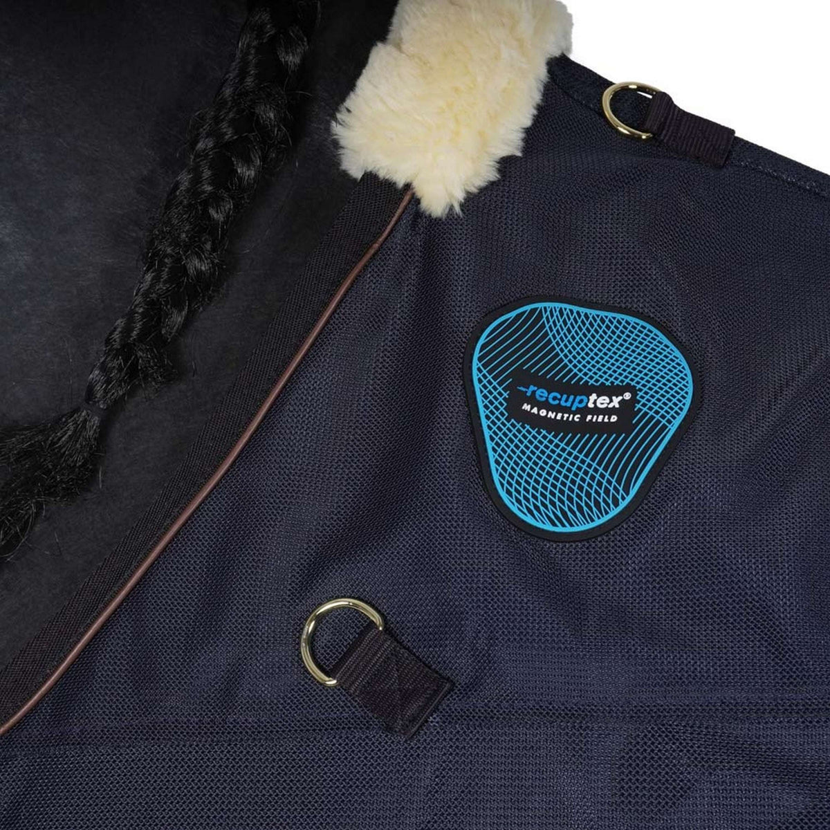 Kentucky Horsewear Dorso magnetico Recuptex
