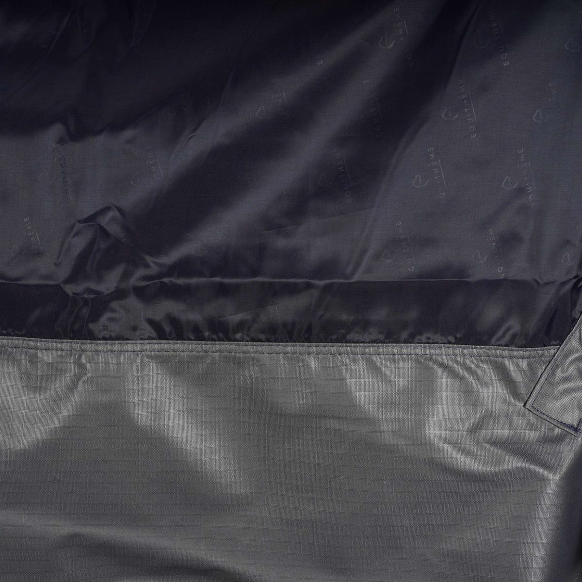 EQUITHÈME Ritorno dell'affluenza alle urne Tyrex Punti blu scuro/grigi